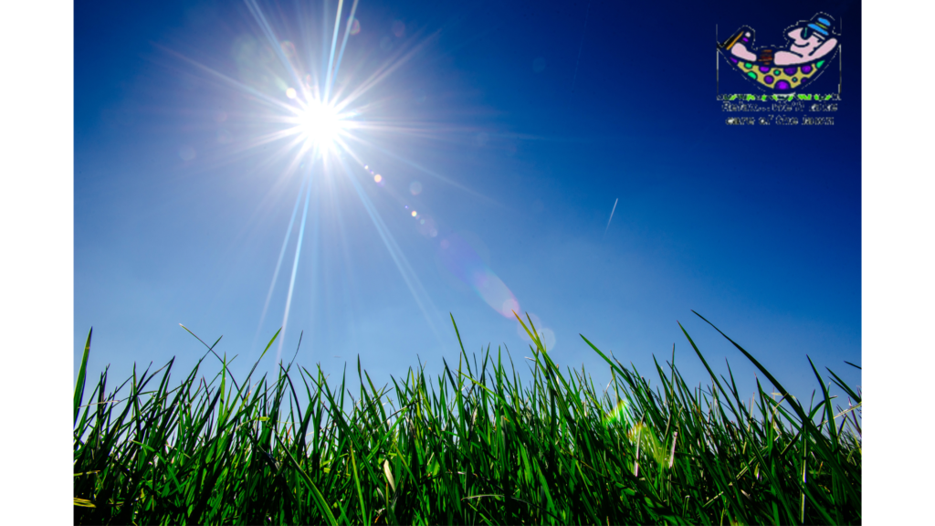 heatlawnstress-1024x576