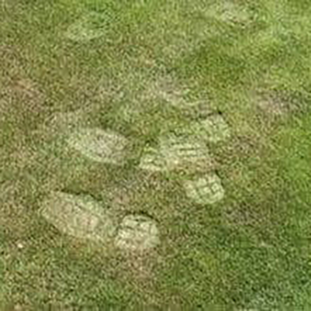 Drought Stress Footprints